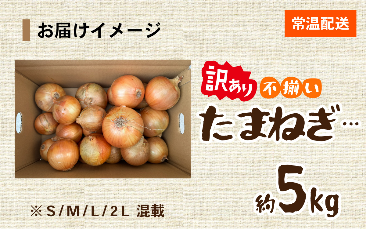 訳あり たまねぎ 5kg 淡路島 フードロス SDGs ／ 不揃い サイズ 混合 ミックス S M L 2L 玉ねぎ タマネギ オニオン スライス サラダ ハンバーグ 肉じゃが 焼肉 常備菜 BBQ スープ 味噌汁 産地直送 兵庫県 淡路市