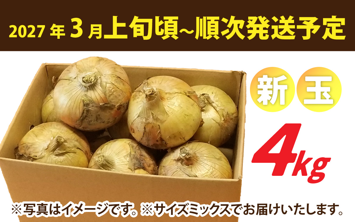 【先行予約】新玉フルーツ玉ねぎ4kg【サイズ色々】 ※2027年3月上旬から順次発送予定
