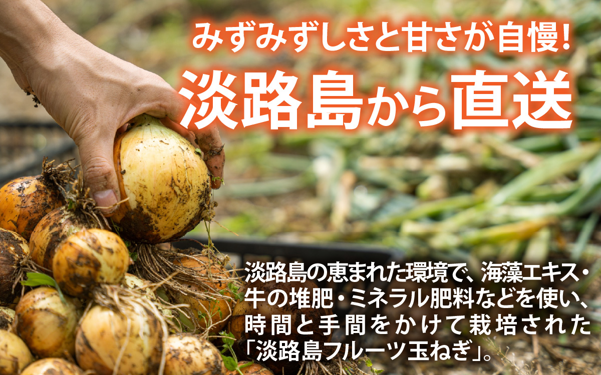 【先行予約】新玉フルーツ玉ねぎ4kg【サイズ色々】※2026年3月中旬頃より順次発送予定