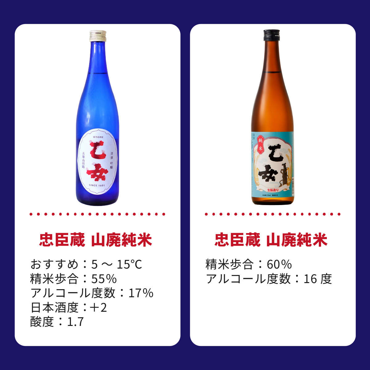 飲み比べが楽しい本格セット / 兵庫 兵庫県 赤穂 赤穂市 純米酒 純米吟醸 山廃純米 吟醸 飲み比べ 爽やか 米 米麹 老舗 蔵元 奥藤商事 フルーティー 冷酒 純米吟醸酒 伝統 文化 酒