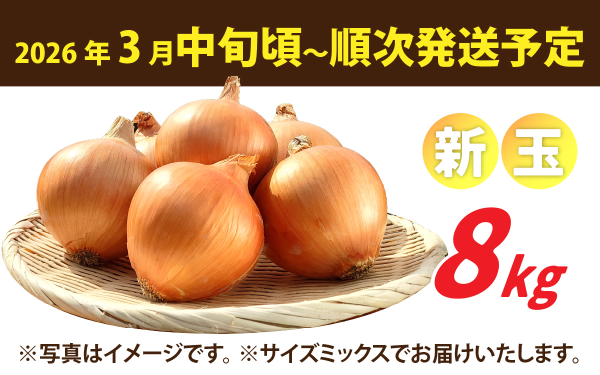 【先行予約】新玉フルーツ玉ねぎ8kg【サイズ色々】※2026年3月中旬頃より順次発送予定