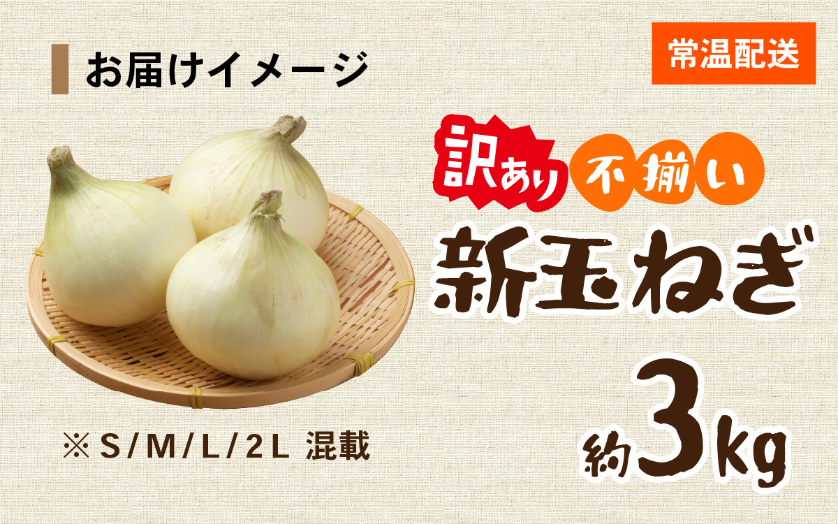 淡路島 新玉ねぎ 3kg 訳あり サイズ不揃い 簡易箱でお届け ／ 不揃い サイズ 混合 ミックス S M L 2L 玉ねぎ タマネギ オニオン スライス サラダ ハンバーグ 肉じゃが 焼肉 常備菜 BBQ スープ 味噌汁 産地直送 兵庫県 淡路市