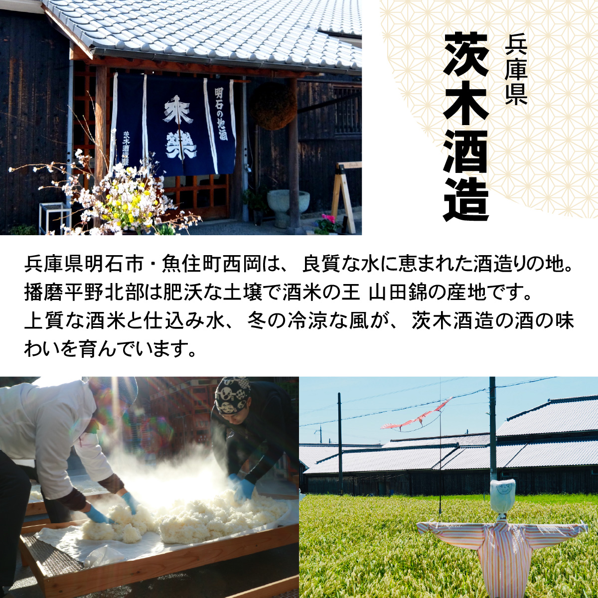 香味の違いを楽しむ日本酒3本セット / 兵庫 兵庫県 明石 明石市 純米酒 爽やか 米 米麹 茨木酒造 特別純米酒 冷酒 食中酒 純米大吟醸 海鮮料理 和食 酒