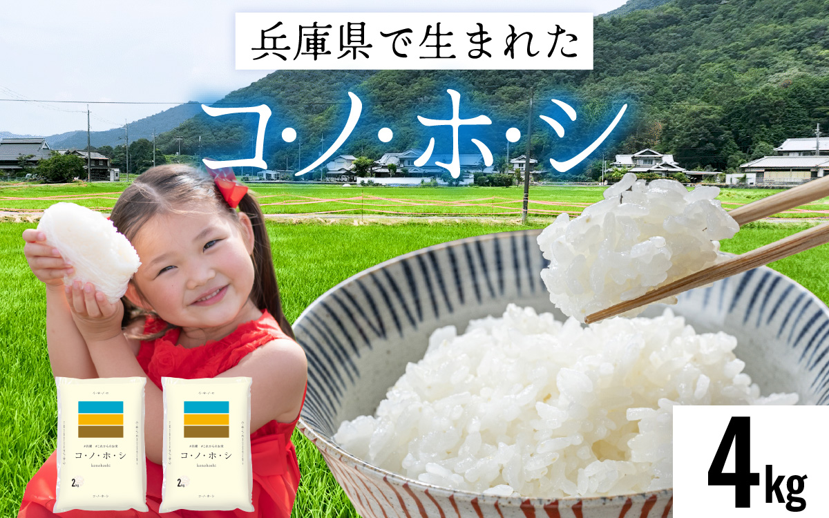 兵庫県産コノホシ (4kg)／兵庫県産 精米 単一原料米 米 コメ 新品種 限定 新しい 兵庫県 オリジナル