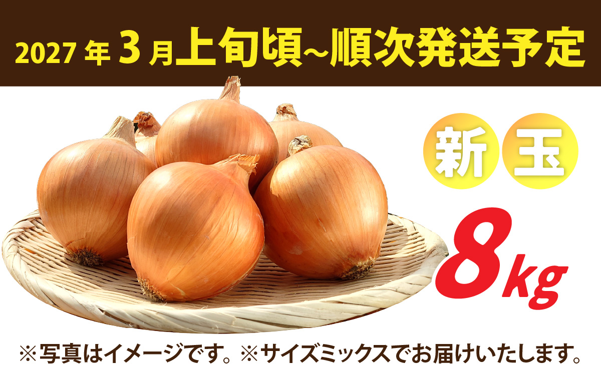 【先行予約】新玉フルーツ玉ねぎ8kg【サイズ色々】※2027年3月上旬より順次発送