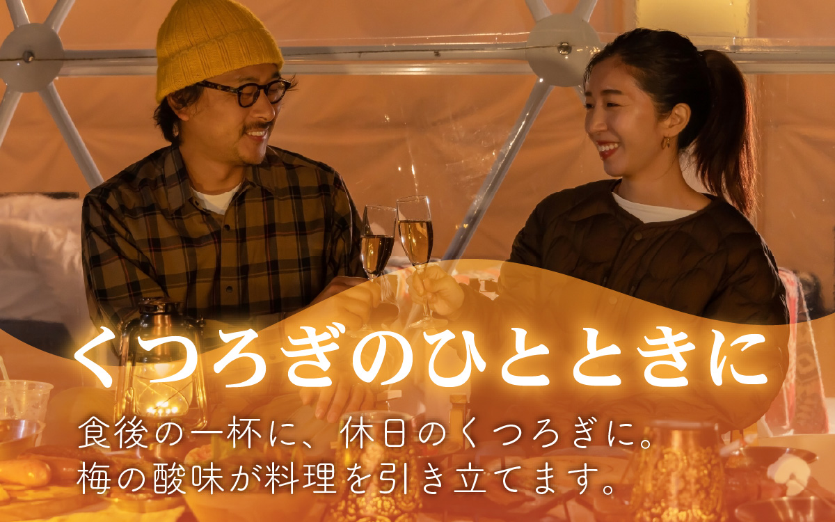 譌・縺ョ蜃コ縺ソ繧翫s 繧ュ繝ウ繧ー驢ク騾 譴驟 180ml/30譛ャ縲 縺企 驟ク蜻ウ 繧ケ繝繧ュ繝ェ縺ィ縺励◆逕倥∩ 譴驟 譴 縺ェ縺、縺九@縺縲