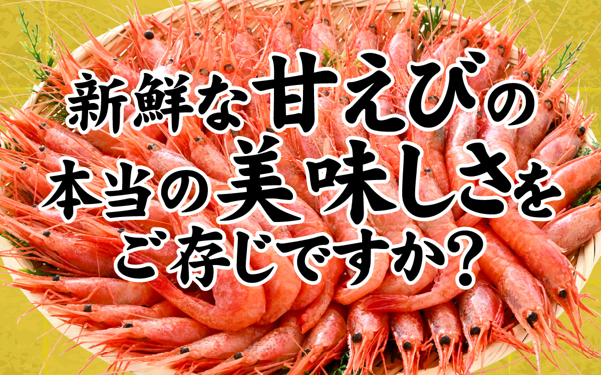 甘えび (大サイズ) 約1,400g 天然・鮮度抜群！【発泡箱】 船内冷凍 64尾