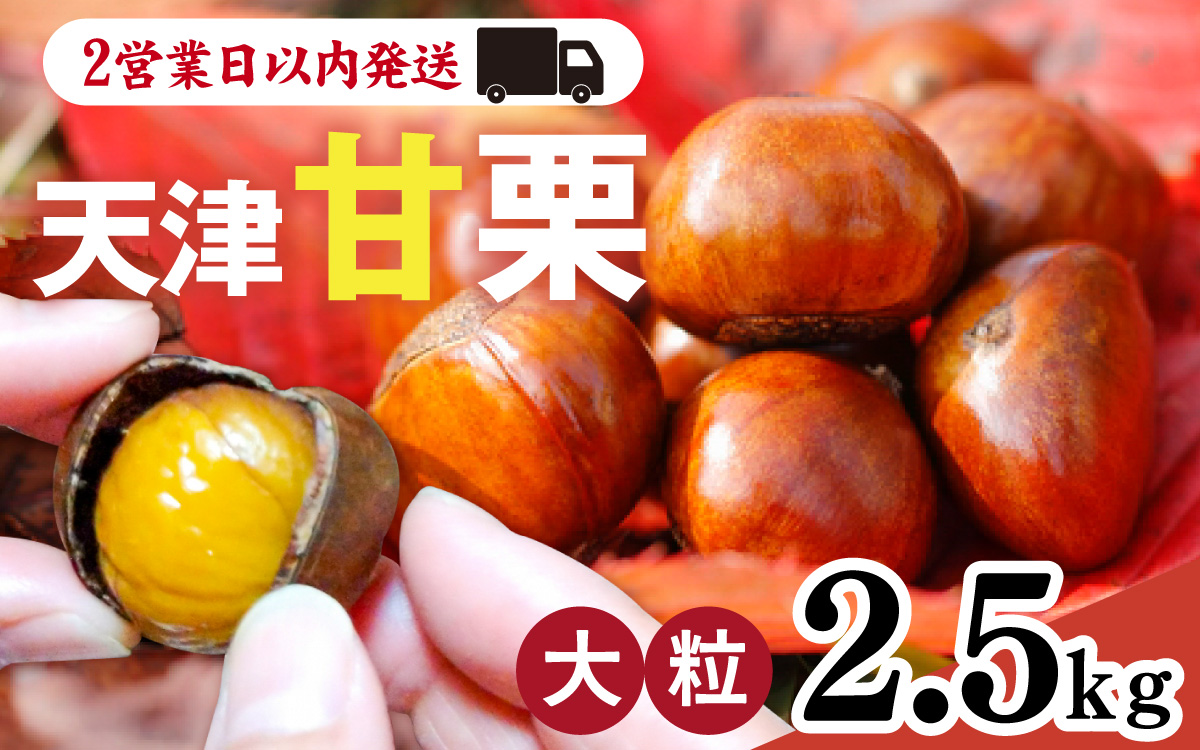 天津甘栗 2.5kg ／ 焼きたて 栗 くり マロン 秋 おやつ 栗爪 殻付き お菓子 おつまみ 人気 高リピート 小分け 栗ご飯 栗きんとん 甘露煮 こだわり 手軽 おためし お試し