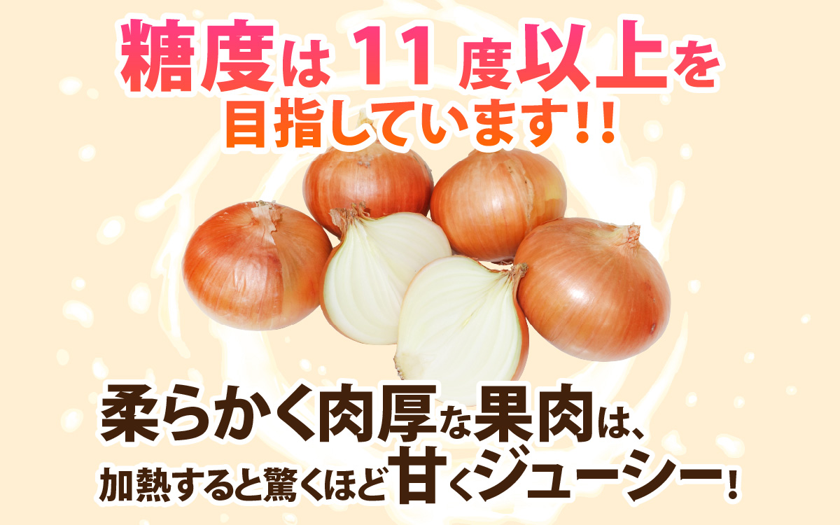 【先行予約】新玉フルーツ玉ねぎ4kg【サイズ色々】※2026年3月中旬頃より順次発送予定