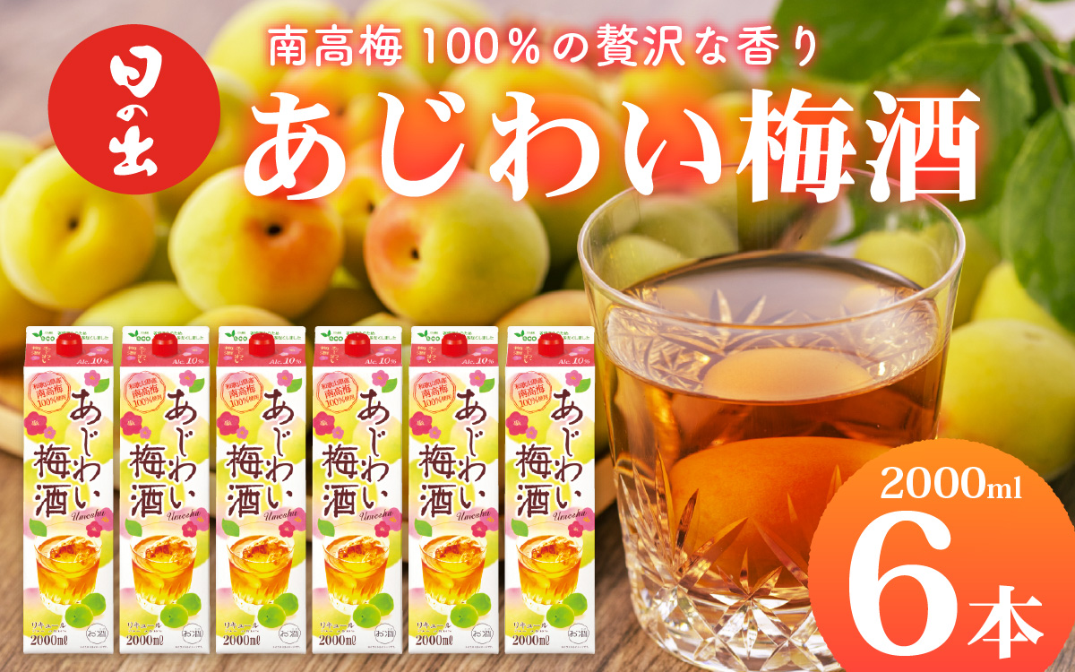 日の出みりん あじわい梅酒（南高梅100％）2L/6本　【 お酒 酸味 優しい甘み 梅酒 セット 】