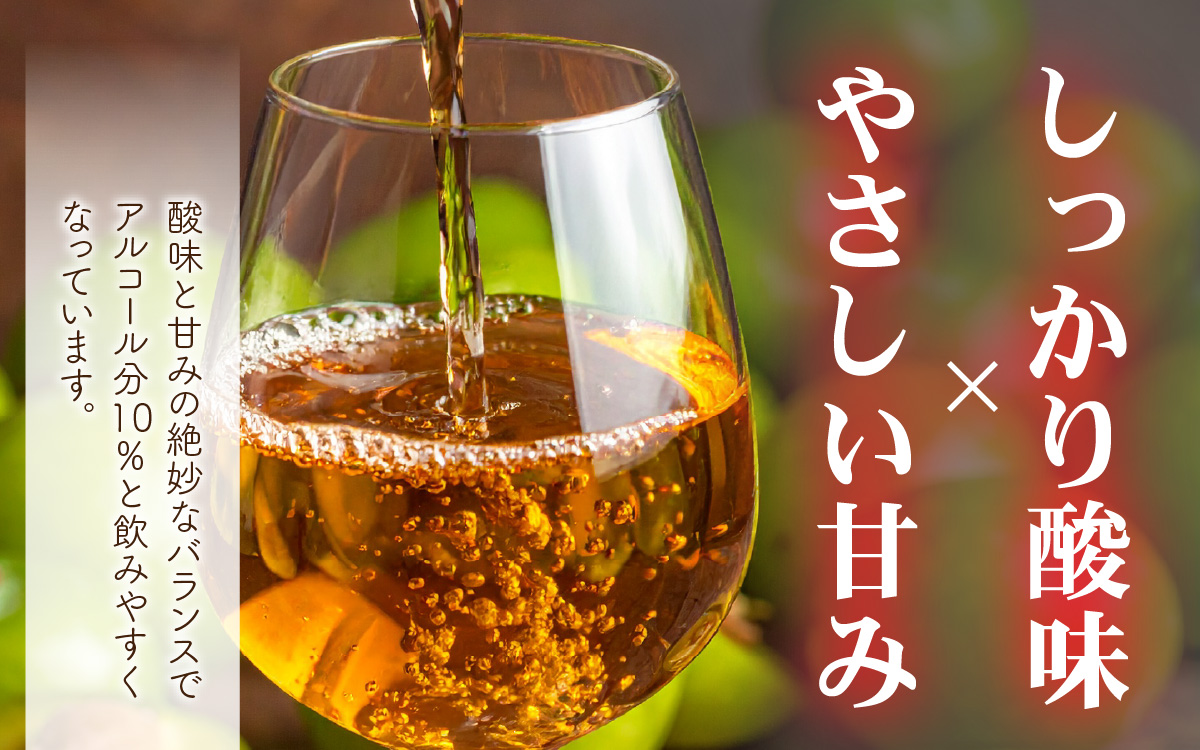 譌・縺ョ蜃コ縺ソ繧翫s 縺ゅ§繧上>譴驟抵シ亥漉鬮俶「100シシ2L/6譛ャ縲縲 縺企 驟ク蜻ウ 蜆ェ縺励>逕倥∩ 譴驟 繧サ繝繝 縲