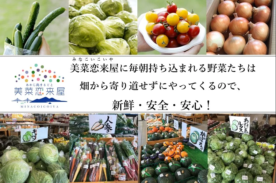 ほんまもん淡路島野菜BOX（小）