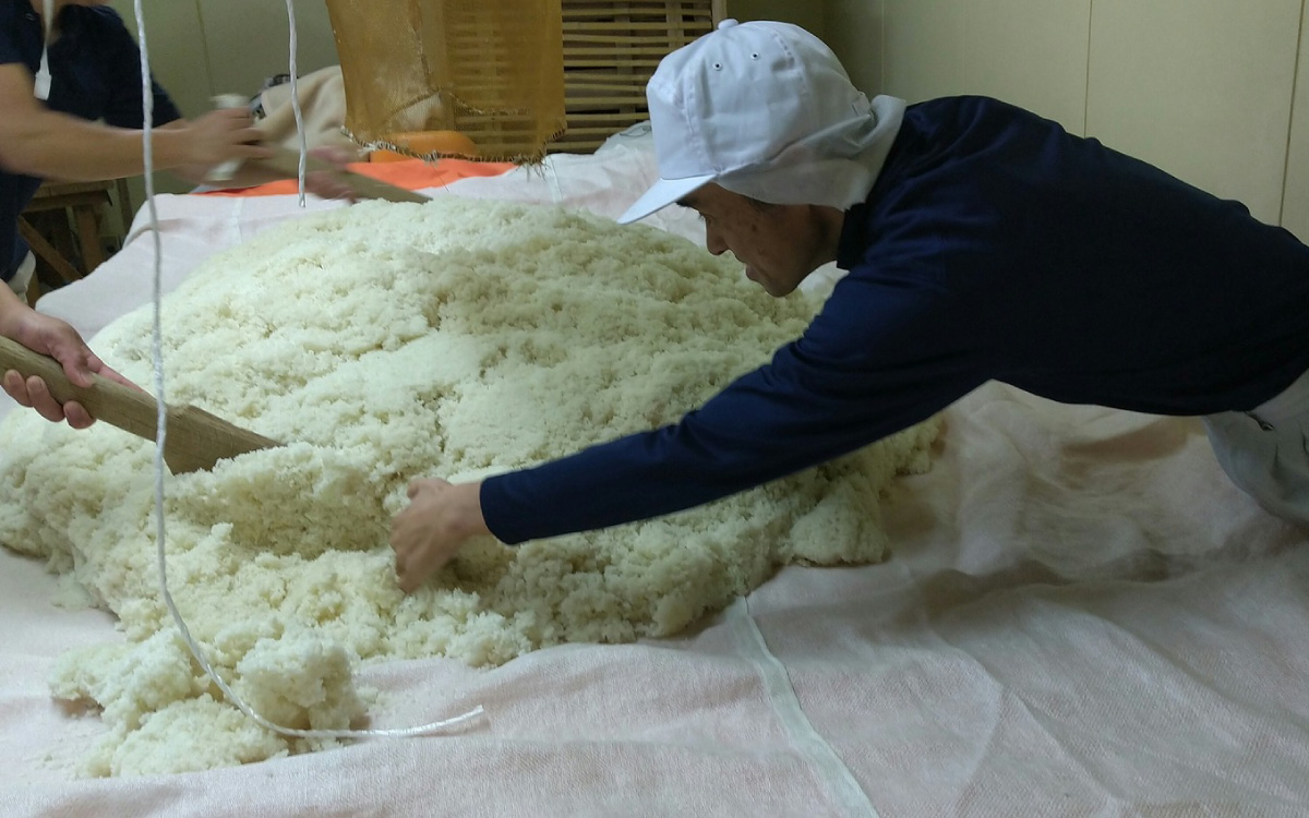 魑ウ魑エ縲荳ケ豕「縺ョ驥後そ繝繝医5遞ョ繧サ繝繝医TR-5F