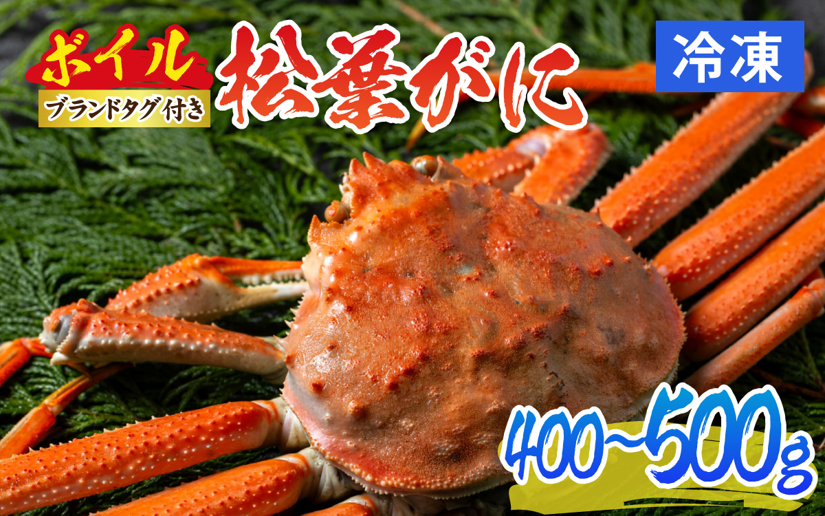 松葉がに 400～500g (ボイル)／蟹 ズワイガニ 浜坂漁港 タグ付き 無添加 日本海 魚介類 新鮮 塩茹で 上品な甘み 海鮮 海の幸 かに 国産 冷凍