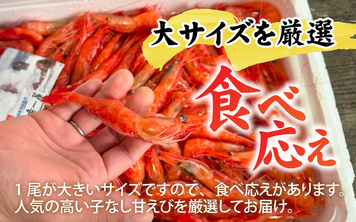 甘えび (大サイズ) 約1,400g 天然・鮮度抜群！【発泡箱】 船内冷凍 64尾