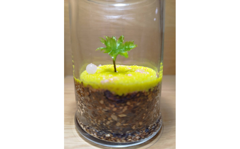 KOBE縲COLORS縲ス朶TONE & MOSSス