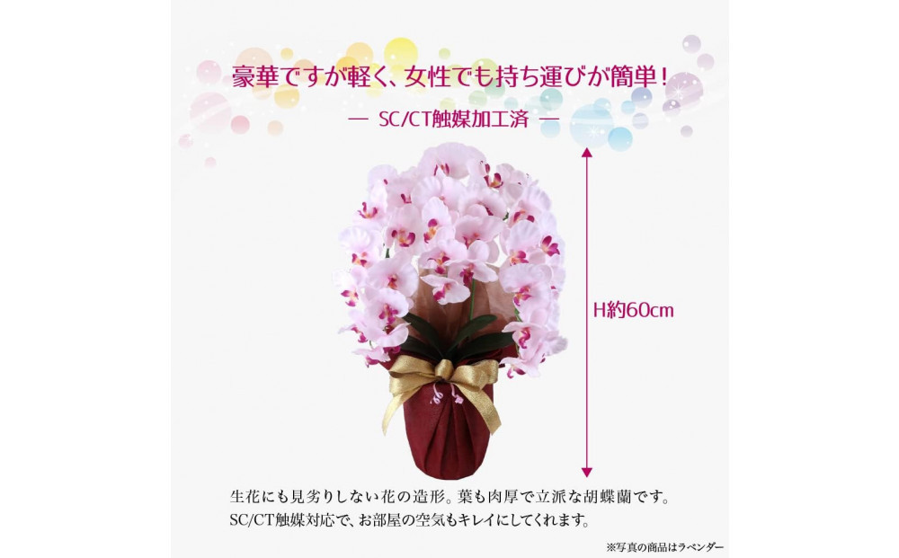 譫ッ繧後↑縺繧「繝シ繝繧」繝輔ぅ繧キ繝」繝ォ繝輔Λ繝ッ繝シ 閭。陜カ陂ュ 3譛ャ遶九■ 繝ゥ繝吶Φ繝繝シ SC隗ヲ蟐貞刈蟾・貂
