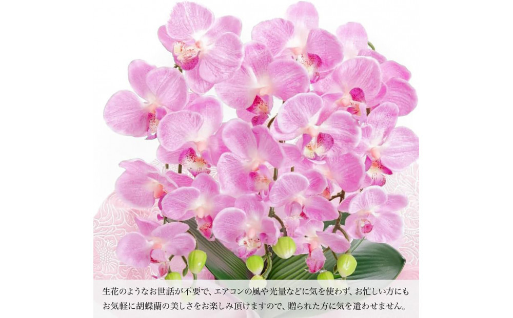 譫ッ繧後↑縺繧「繝シ繝繧」繝輔ぅ繧キ繝」繝ォ繝輔Λ繝ッ繝シ 繝溘ル閭。陜カ陂ュ 3譛ャ遶九■ 繝輔Ξ繝繧キ繝・繝斐Φ繧ッ SC隗ヲ蟐貞刈蟾・貂