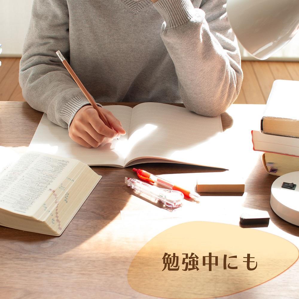 お～いお茶エコティーバッグ緑茶　1ケース（20袋×10箱）