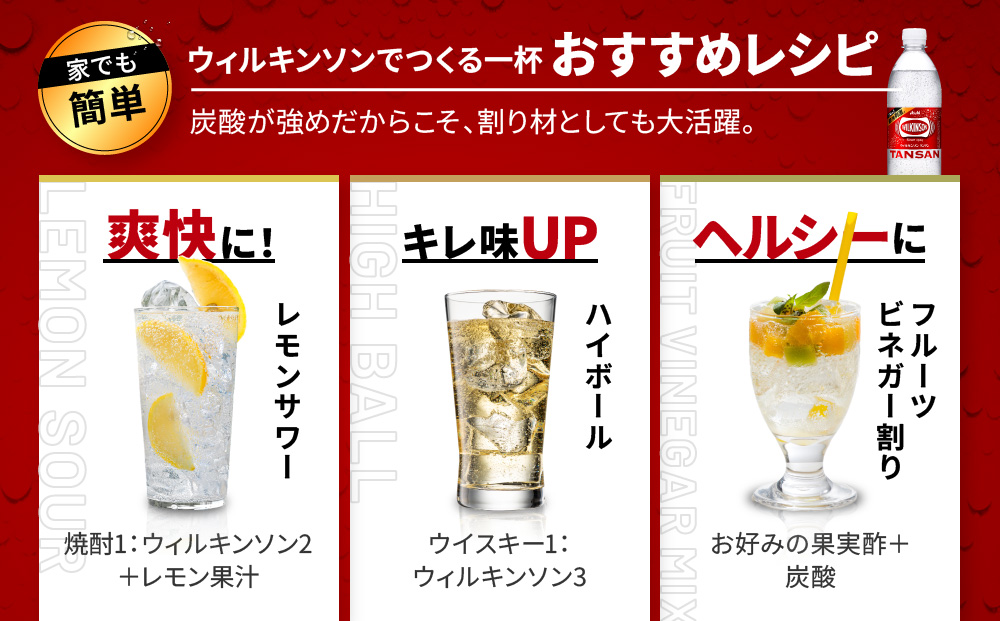 アサヒ飲料 ウィルキンソン タンサン（500mlペットボトル×24本×2箱）