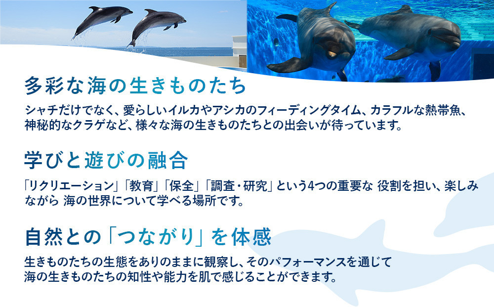神戸須磨シーワールド入場券　3枚セット（有効期限：2026年4月1日～9月30日）