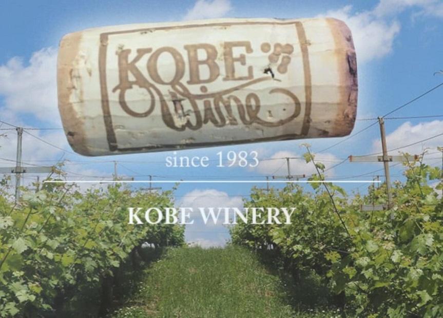 逾樊虻繝ッ繧、繝ウ 逾樊虻 襍、 360ml逑カシ逋ス霎 360ml逑カ