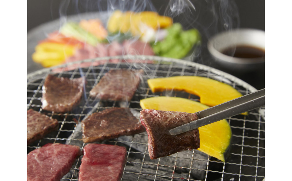＜定期便3回＞ A５等級 神戸牛 厳選赤身コース　【神戸ぐりる工房】（隔月でお届け）