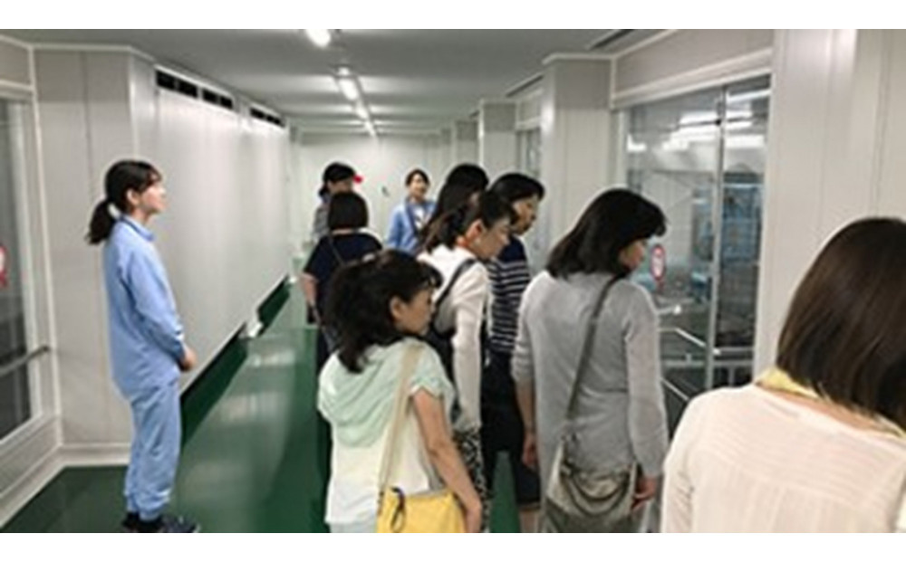 繧ュ繝・繝シ繝斐シ繝上シ繝 400g x 2譛ャ