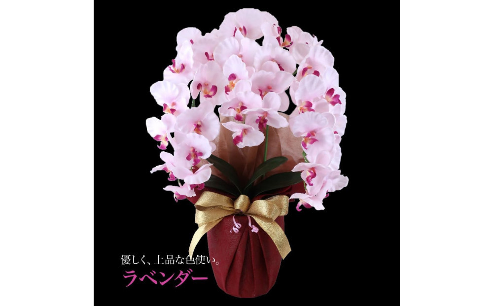 譫ッ繧後↑縺繧「繝シ繝繧」繝輔ぅ繧キ繝」繝ォ繝輔Λ繝ッ繝シ 閭。陜カ陂ュ 3譛ャ遶九■ 繝ゥ繝吶Φ繝繝シ SC隗ヲ蟐貞刈蟾・貂
