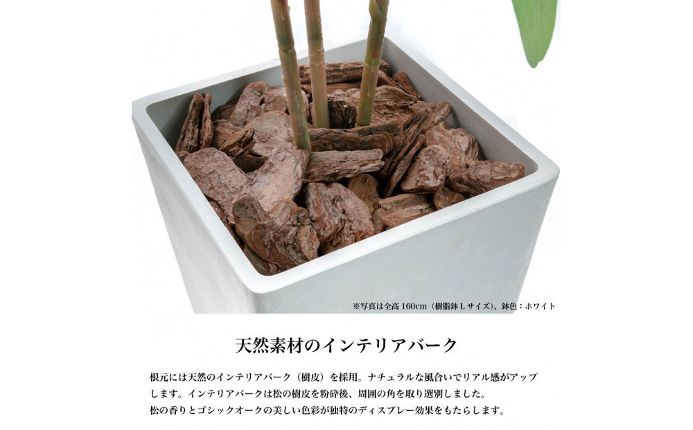 莠コ蟾・隕ウ闡画、咲黄 繧ォ繝昴ャ繧ッ譁大・繧 185cm 讓ケ閼る欧L繧オ繧、繧コ逋ス SC隗ヲ蟐貞刈蟾・貂