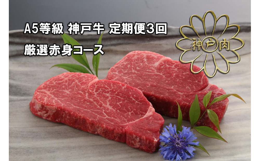 ＜定期便3回＞ A５等級 神戸牛 厳選赤身コース　【神戸ぐりる工房】（隔月でお届け）