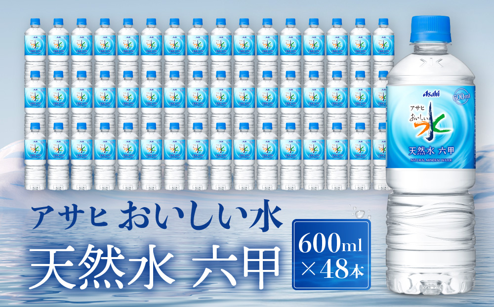 アサヒ飲料 おいしい水 天然水 六甲（600mlペットボトル×24本×2箱）