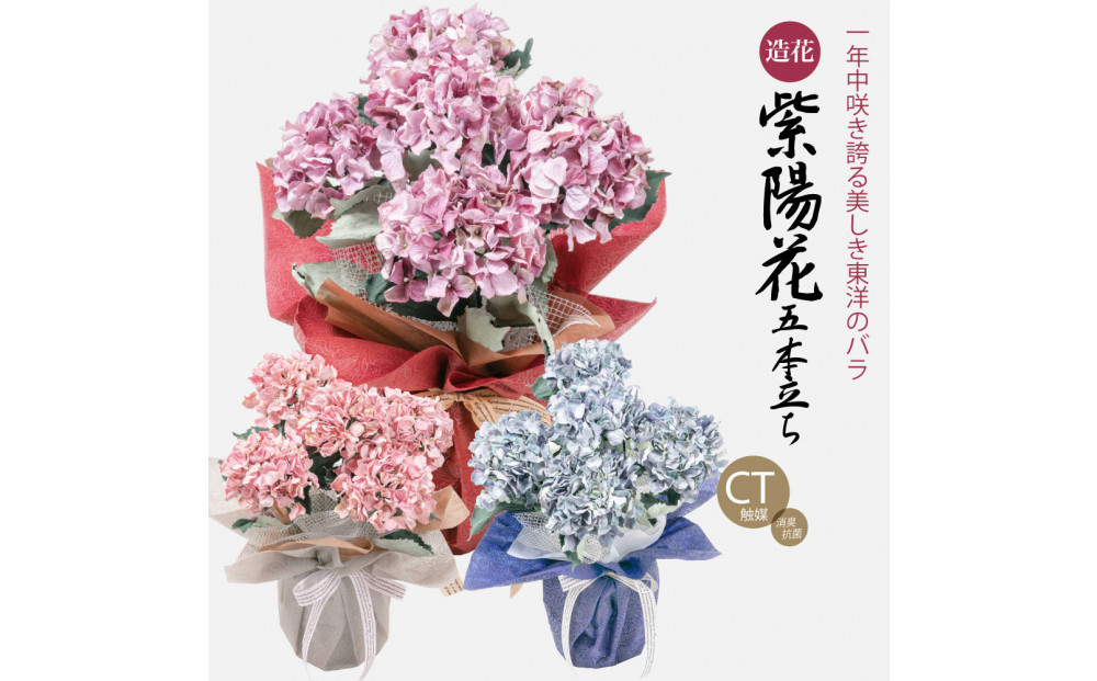 繧「繝シ繝繧」繝輔ぅ繧キ繝」繝ォ繝輔Λ繝ッ繝シ 邏ォ髯ス闃ア 螟ァ霈ェ 5譛ャ遶九■ 繝悶Ν繝シ SC隗ヲ蟐貞刈蟾・貂