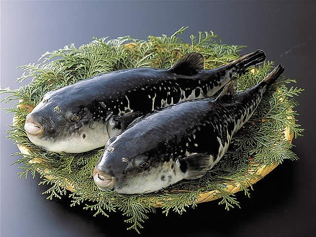 灘の酒蔵で兵庫五国の幸【特撰会席】を楽しむ ペア食事券