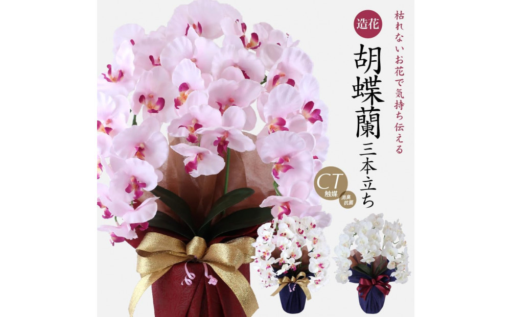 譫ッ繧後↑縺繧「繝シ繝繧」繝輔ぅ繧キ繝」繝ォ繝輔Λ繝ッ繝シ 閭。陜カ陂ュ 3譛ャ遶九■ 繝帙Ρ繧、繝医う繧ィ繝ュ繝シ SC隗ヲ蟐貞刈蟾・貂