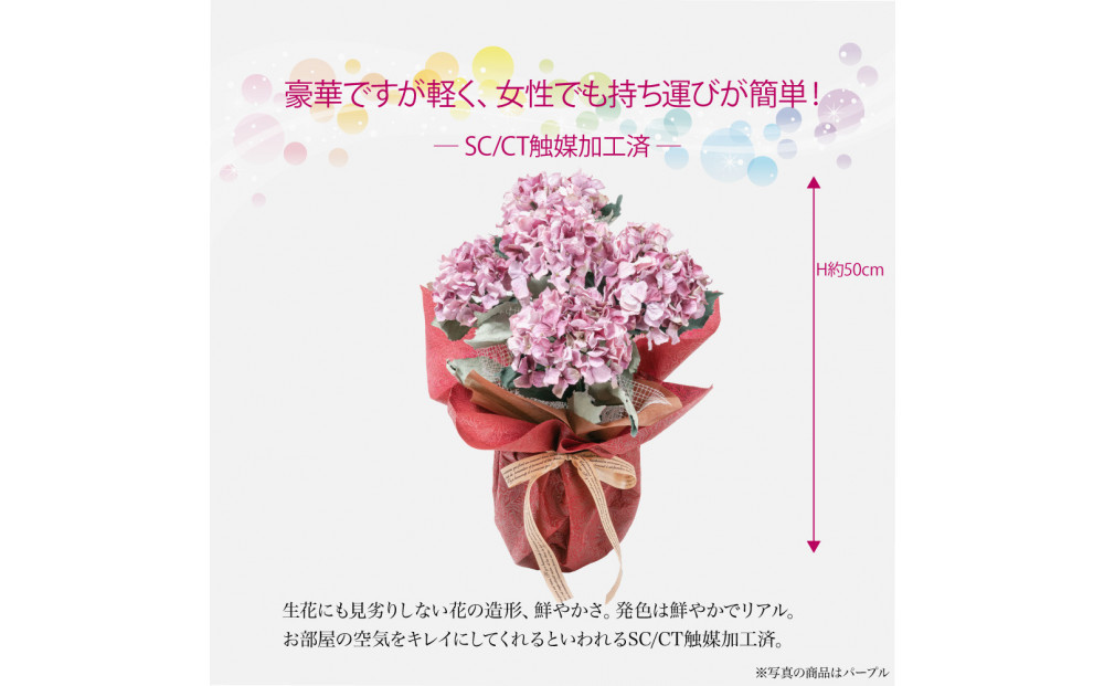 繧「繝シ繝繧」繝輔ぅ繧キ繝」繝ォ繝輔Λ繝ッ繝シ 邏ォ髯ス闃ア 螟ァ霈ェ 5譛ャ遶九■ 繝代シ繝励Ν SC隗ヲ蟐貞刈蟾・貂