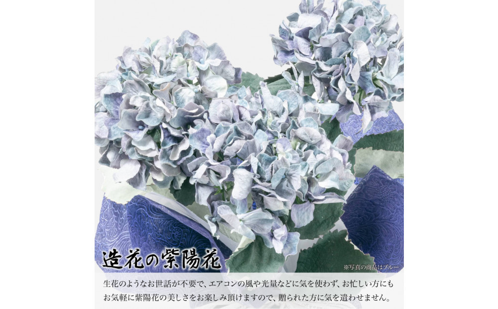 繧「繝シ繝繧」繝輔ぅ繧キ繝」繝ォ繝輔Λ繝ッ繝シ 邏ォ髯ス闃ア 螟ァ霈ェ 3譛ャ遶九■ 繝悶Ν繝シ SC隗ヲ蟐貞刈蟾・貂