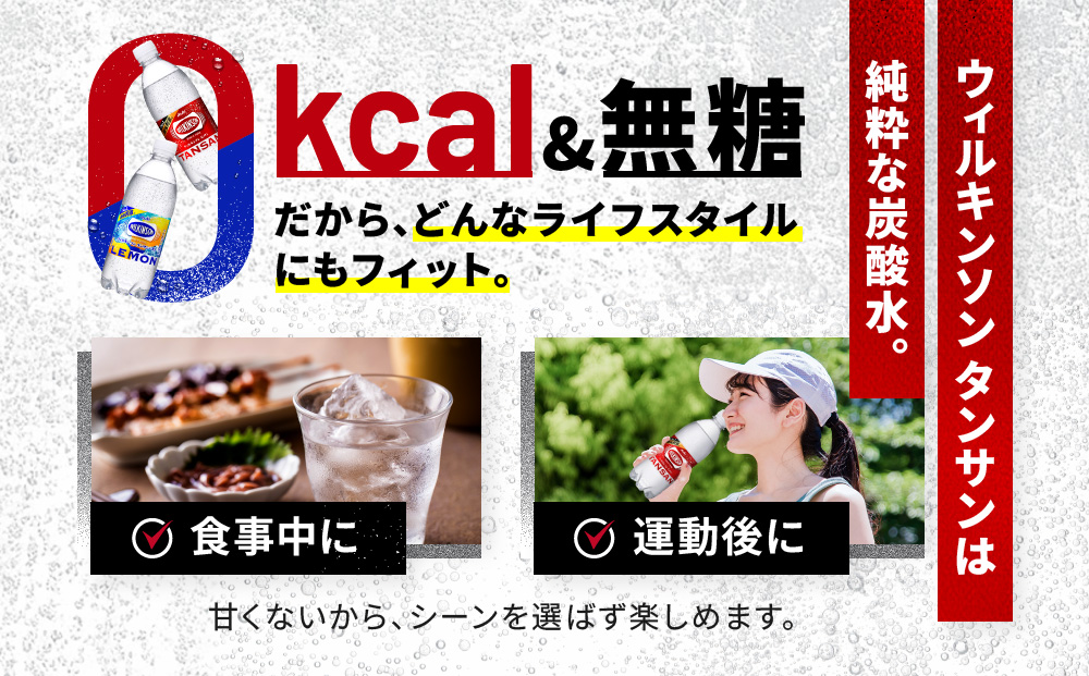 アサヒ飲料 ウィルキンソン タンサン+レモン各1箱セット（500mlペットボトル×24本×2箱）