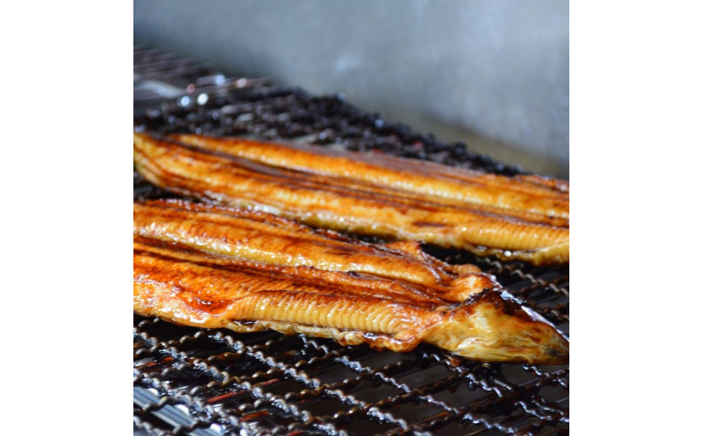 çŒãããªã1äž²ã»è²çŒãããªã2å°Ÿé£ã¹æ¯ã¹ã»ãã