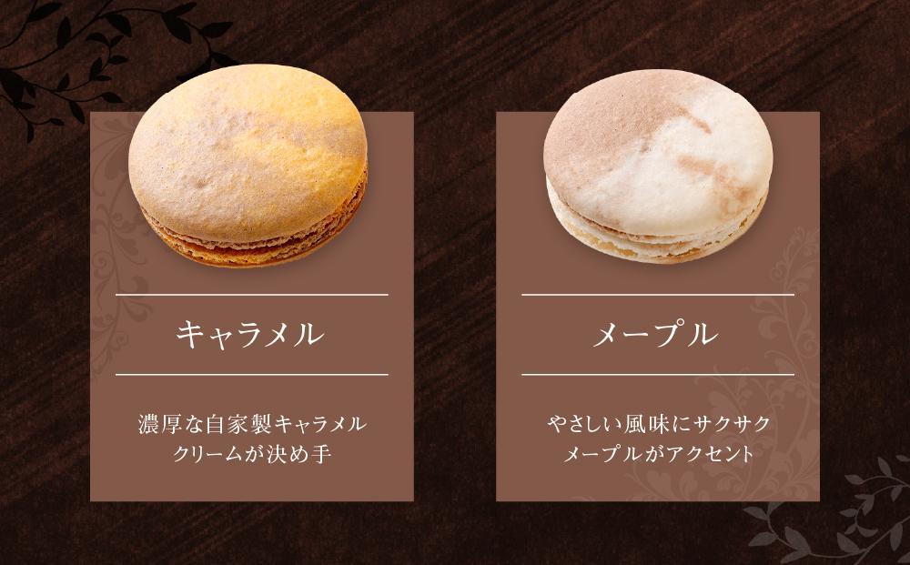 【レオニダス＆ガトーエモア】冷凍しない本場のレシピ　マカロンセット10個入り