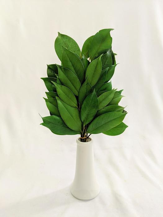 プリザーブド榊L 一対（花器なし）