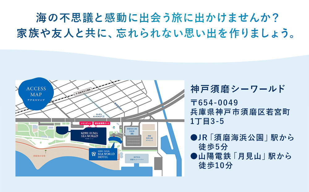 神戸須磨シーワールド入場券　3枚セット（有効期限：2026年4月1日～9月30日）