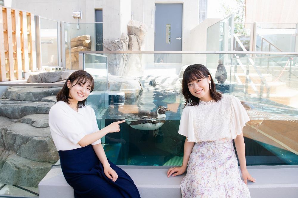 AQUARIUM テ ART atoa縲蜈・蝣エ蠑墓鋤蛻クシ2蜷肴ァ假シ