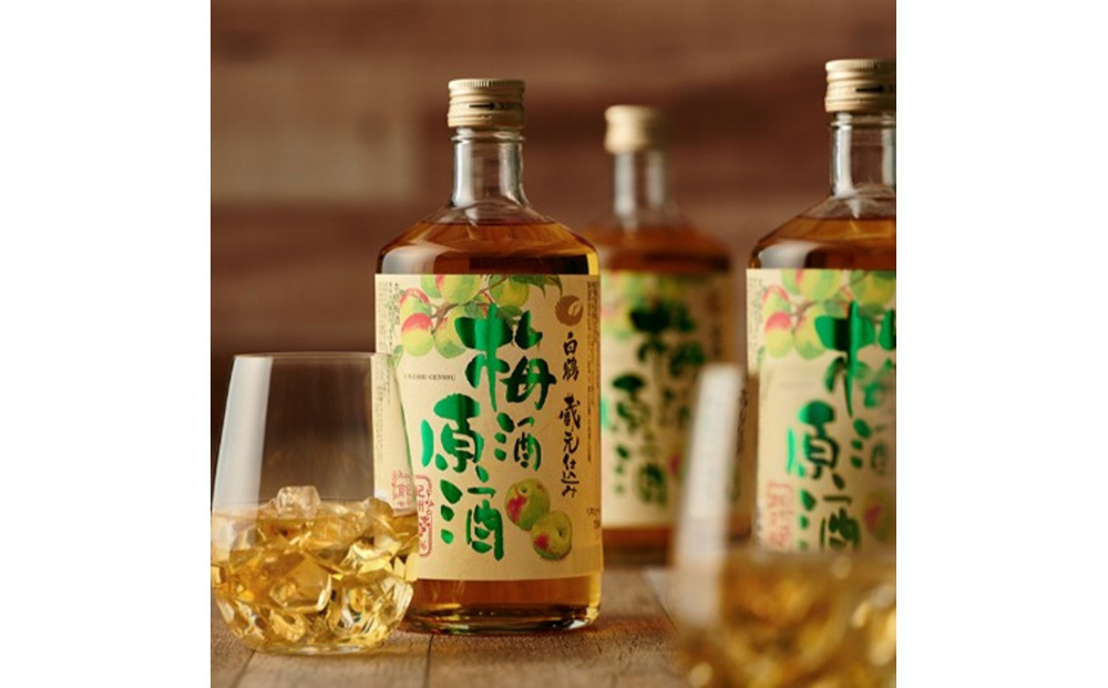 逋ス鮓エ 譴驟貞次驟 720ml逑カ x 2譛ャ