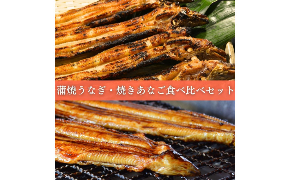 çŒãããªã1äž²ã»è²çŒãããªã1å°Ÿé£ã¹æ¯ã¹ã»ãã