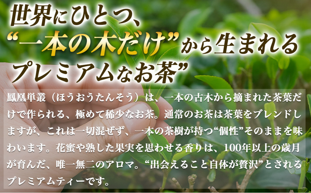 【まるで飲む香水 鳳凰烏龍茶】 金木犀を思わせる、甘く澄んだ香り。自家焙煎 桂花香 50g（けいかこう）｜中国茶