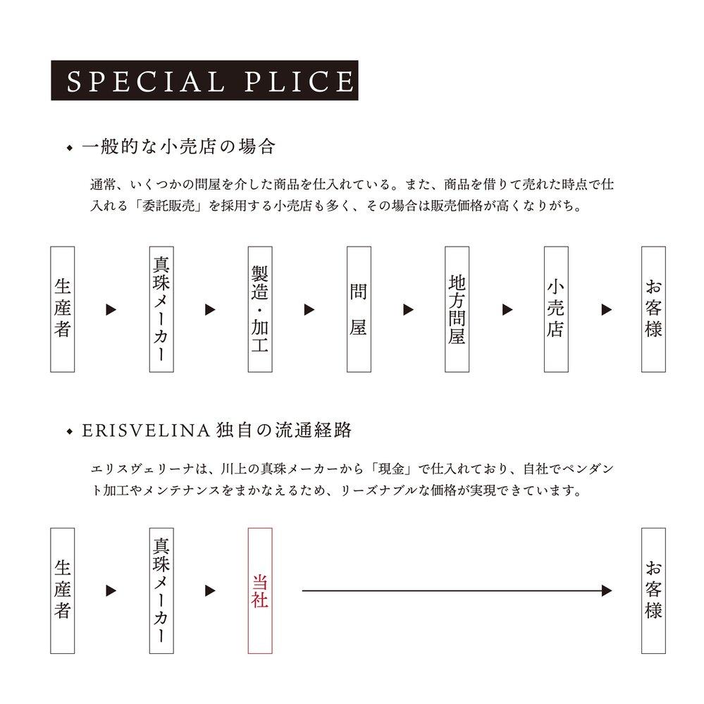 【星彩】ブラックパール ダイヤモンド ホワイトゴールド ペンダントトップ｜無調色 黒蝶真珠 タヒチパール 南洋真珠 10mm K18WG