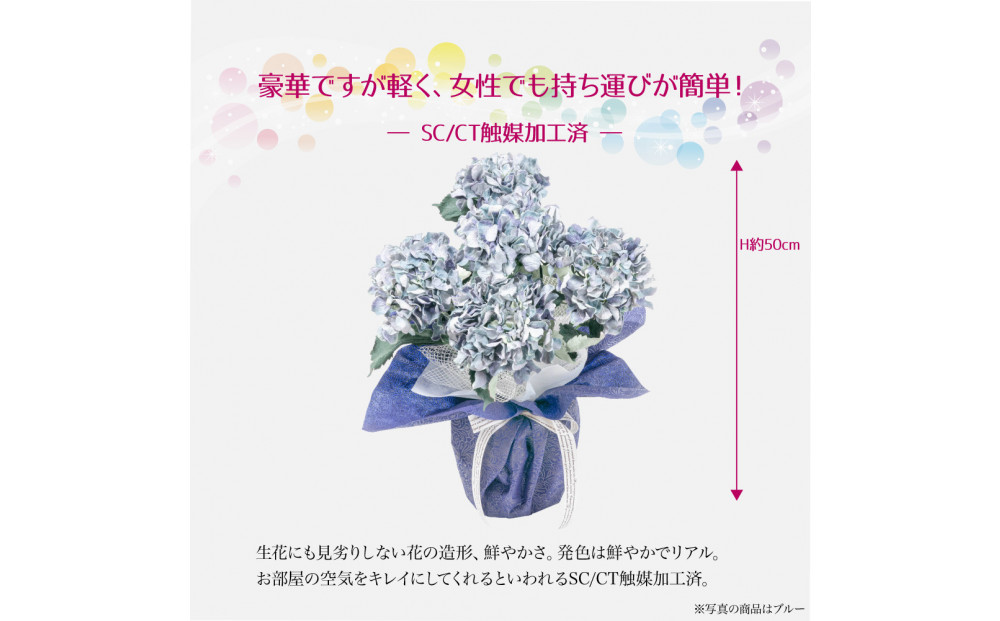 繧「繝シ繝繧」繝輔ぅ繧キ繝」繝ォ繝輔Λ繝ッ繝シ 邏ォ髯ス闃ア 螟ァ霈ェ 5譛ャ遶九■ 繝悶Ν繝シ SC隗ヲ蟐貞刈蟾・貂