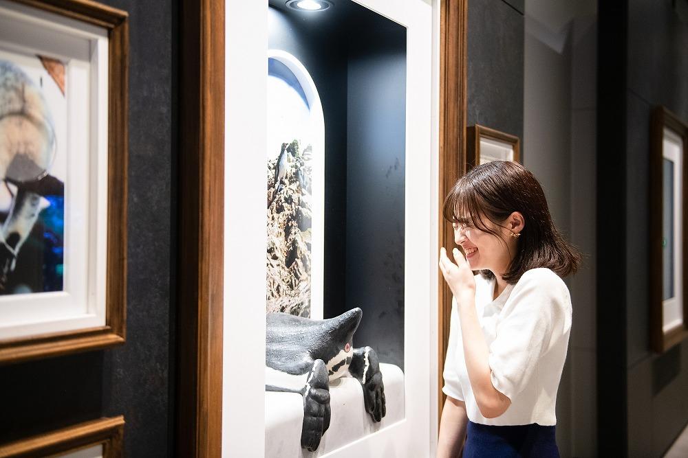 AQUARIUM テ ART atoa縲蜈・蝣エ蠑墓鋤蛻クシ2蜷肴ァ假シ