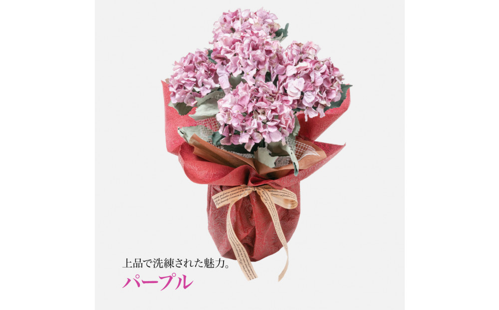 繧「繝シ繝繧」繝輔ぅ繧キ繝」繝ォ繝輔Λ繝ッ繝シ 邏ォ髯ス闃ア 螟ァ霈ェ 5譛ャ遶九■ 繝代シ繝励Ν SC隗ヲ蟐貞刈蟾・貂